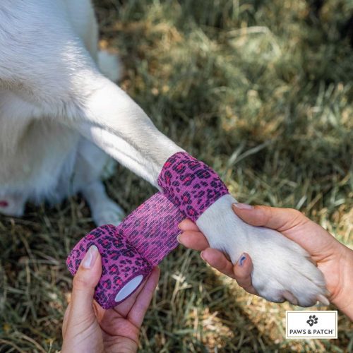 SELBSTHAFTENDE VERBÄNDE - 1 Stück 9 Paws Patch Einzelverband Leo Muster I Hund L