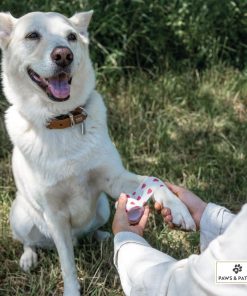 Alternative view of SELBSTHAFTENDE VERBÄNDE - 1 Stück