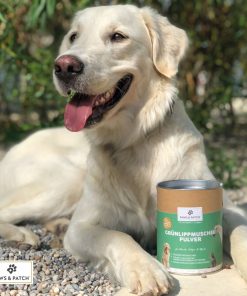 Alternative view of REINES GRÜNLIPPMUSCHEL PULVER