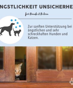 Bachblüten Vorteile