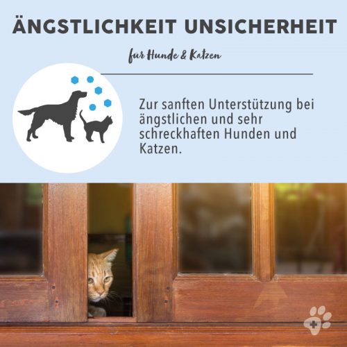 Blütenmischung nach Dr. Bach ÄNGSTLICHKEIT UNSICHERHEIT 10 Bachblüten Vorteile