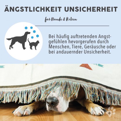 Blütenmischung nach Dr. Bach ÄNGSTLICHKEIT UNSICHERHEIT 9 Bachblüten Vorteile