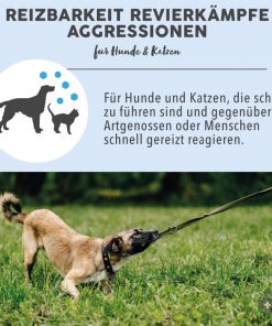 BLÜTENMISCHUNG nach Dr. Bach REIZBARKEIT REVIERKÄMPFE AGGRESSIONEN - 10g 9 Bachblüten Vorteile