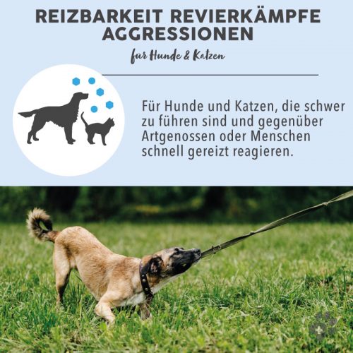 Blütenmischung nach Dr. Bach REIZBARKEIT REVIERKÄMPFE AGGRESSIONEN 9 Bachblüten Vorteile