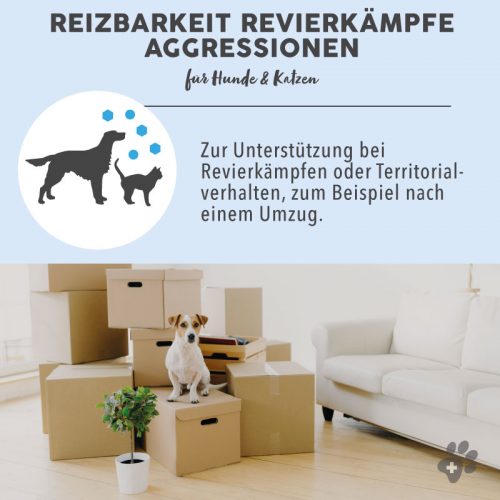 Blütenmischung nach Dr. Bach REIZBARKEIT REVIERKÄMPFE AGGRESSIONEN 8 Bachblüten Vorteile