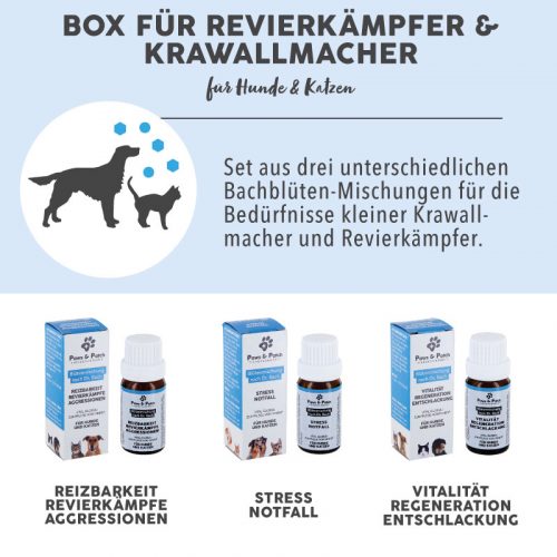 Übersicht Bachblüten Sorten