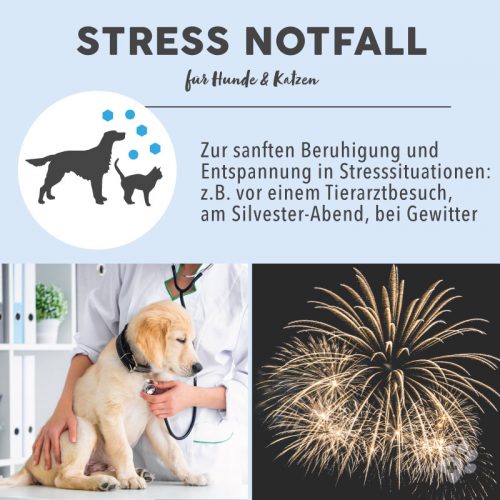 Blütenmischung nach Dr. Bach STRESS NOTFALL 10 Bachblüten Vorteile