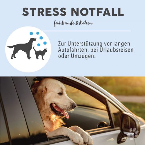 Blütenmischung nach Dr. Bach STRESS NOTFALL 9 Bachblüten Vorteile