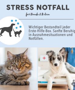 BLÜTENMISCHUNG nach Dr. Bach STRESS NOTFALL - 10g 8 Bachblüten Vorteile