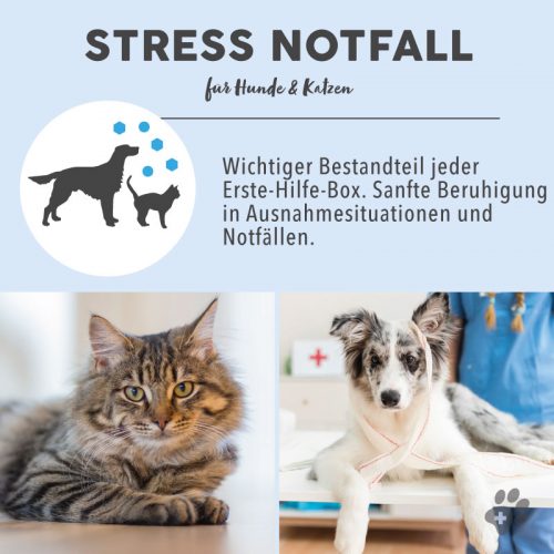 Blütenmischung nach Dr. Bach STRESS NOTFALL 8 Bachblüten Vorteile