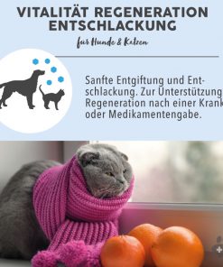 BLÜTENMISCHUNG nach Dr. Bach VITALITÄT REGENERATION ENTSCHLACKUNG - 10g 8 Bachblüten Vorteile