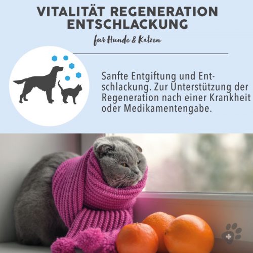 Blütenmischung nach Dr. Bach VITALITÄT REGENERATION ENTSCHLACKUNG 8 Bachblüten Vorteile
