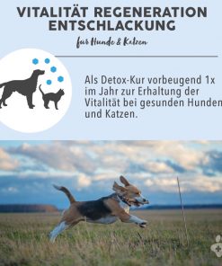 BLÜTENMISCHUNG nach Dr. Bach VITALITÄT REGENERATION ENTSCHLACKUNG - 10g 7 Bachblüten Vorteile