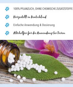Bachblüten Globuli auf Blatt