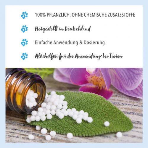 Blütenmischung nach Dr. Bach STRESS NOTFALL 11 Bachblüten Globuli auf Blatt