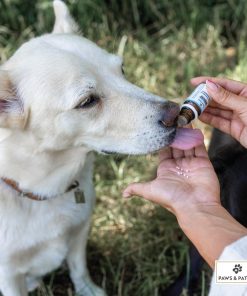 Alternative view of BLÜTENMISCHUNG nach Dr. Bach REIZBARKEIT REVIERKÄMPFE AGGRESSIONEN - 10g