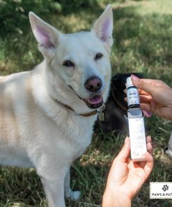 Alternative view of BLÜTENMISCHUNG nach Dr. Bach ÄNGSTLICHKEIT UNSICHERHEIT - 10g