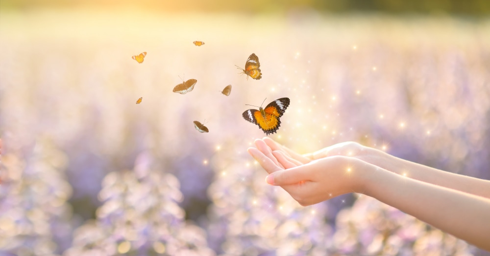Hand mit Schmetterlingen