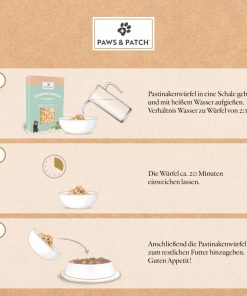 PASTINAKENWÜRFEL 5 Paws Patch Pastinakenwuerfel I 9000157 I Grafik Anwendung