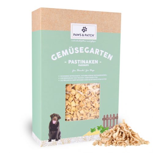 Katzen 21 PASTINAKEN