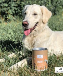 Paws & Patch Bierhefe I Hintergrund Hund 1L