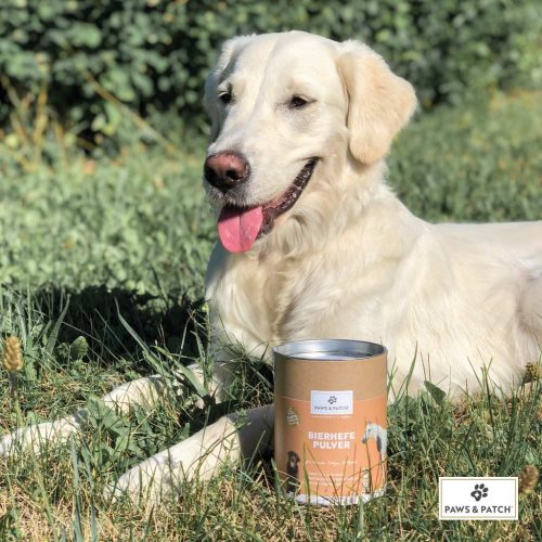 Paws & Patch Bierhefe I Hintergrund Hund 1L