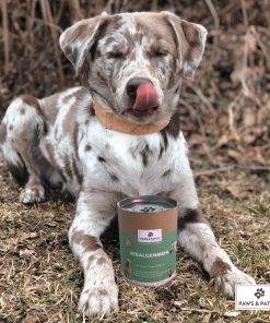 Paws & Patch Seealgenmehl I Hintergrund Hund 1L