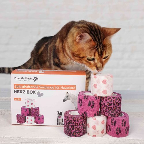 SELBSTHAFTENDE VERBÄNDE - 6 Stück 10 Paws-Patch_Produkte-U¨ber-Uns.jpg