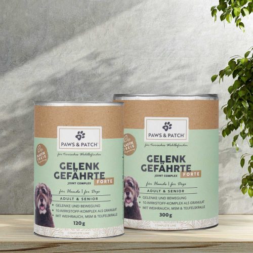 GELENK GEFÄHRTE FORTE für Hunde Adult & Senior I Granulat 9 Paws Patch Gelenk Gefaehrte FORTE 120g S I 9000169 I Hintergrund Set