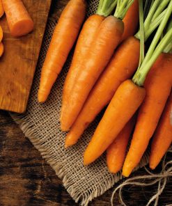 MOROSCHE KAROTTENSUPPE 5 Paws Patch Morosche Suppe M I 9000170 I Hintergrund