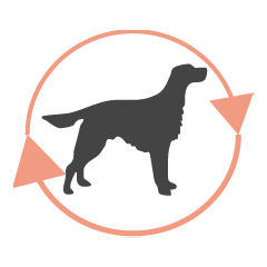 immunsystem und abwehr