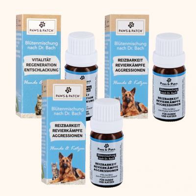 auffaelliges verhalten homepage