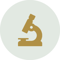 beratung